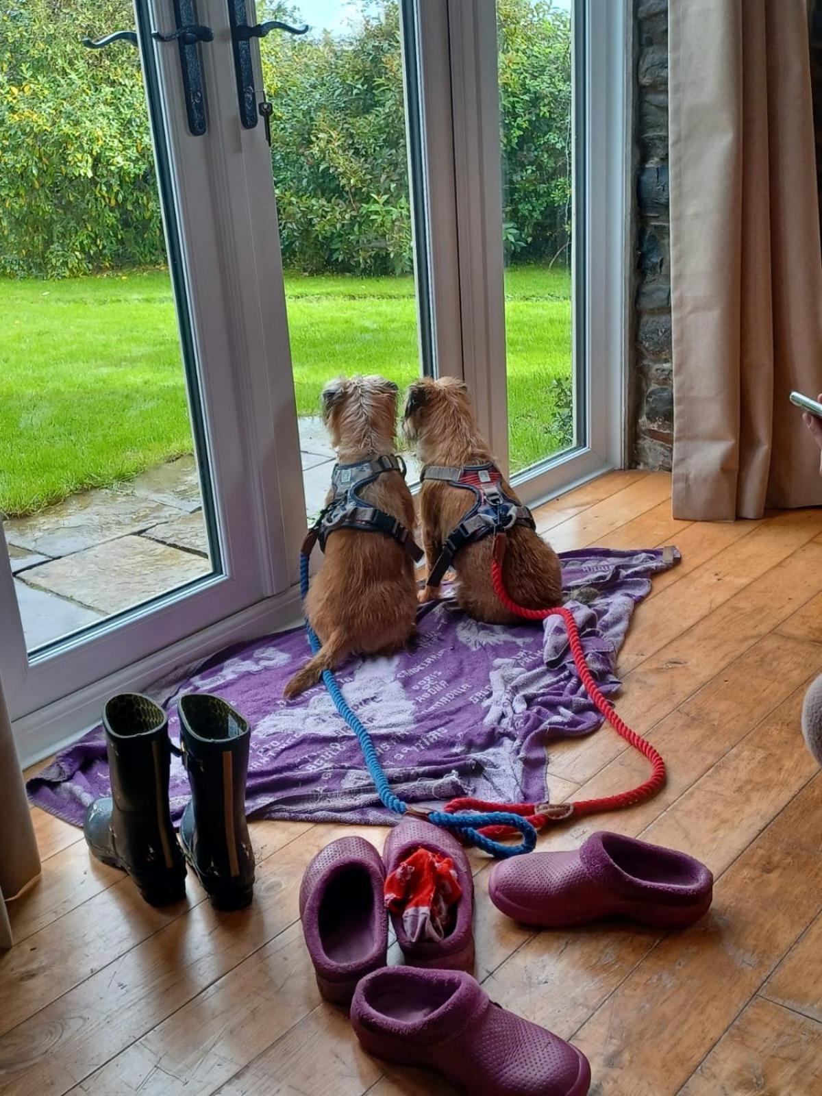 Pippin Lodge Llanwrda Exteriér fotografie