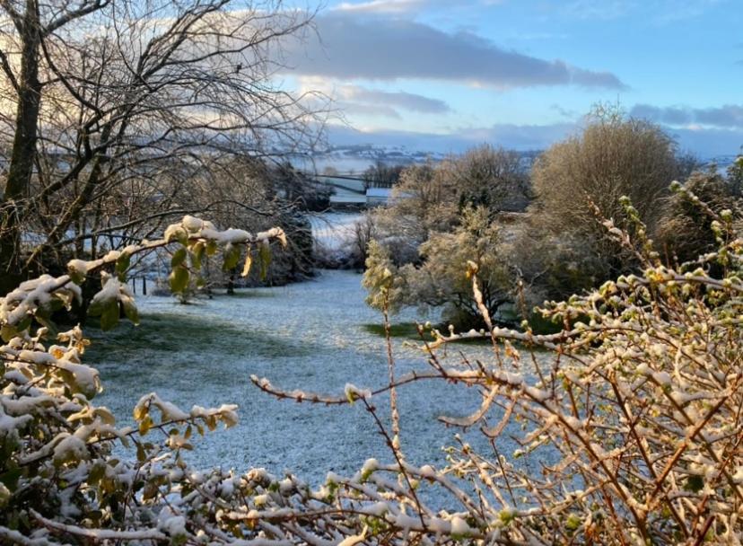 Pippin Lodge Llanwrda Exteriér fotografie