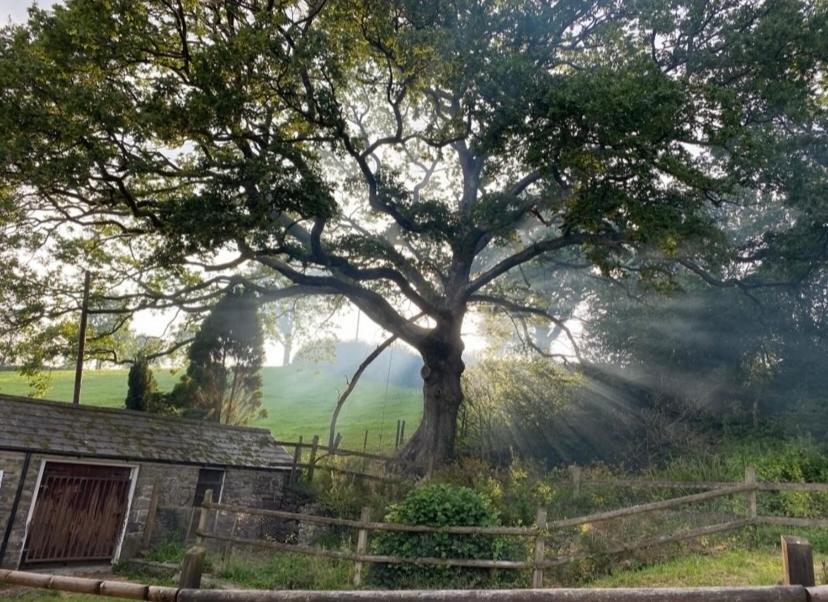 Pippin Lodge Llanwrda Exteriér fotografie