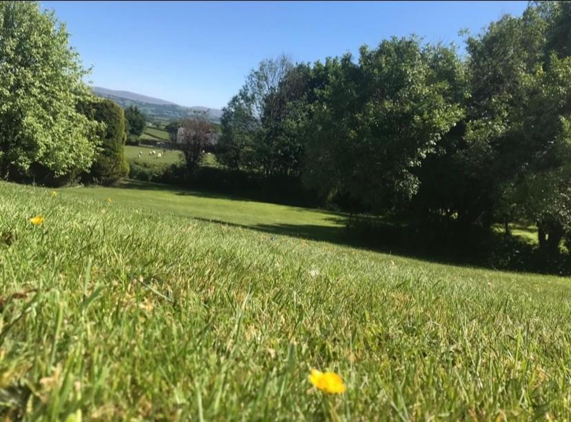 Pippin Lodge Llanwrda Exteriér fotografie